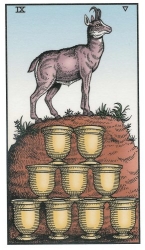 58-minor-cups-09