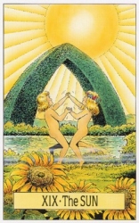 aajor19