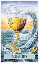 cups01