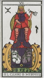 imagen-08