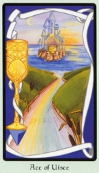 cups01