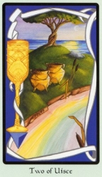 cups02