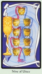 cups09