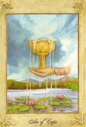 cups01