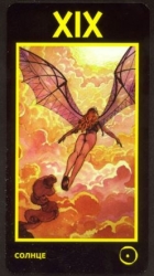 19