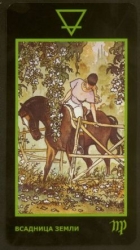 61