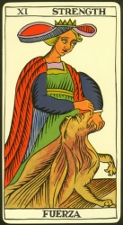 11-major-strenght