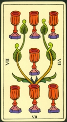 56-minor-cups-07