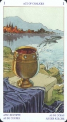 cups01