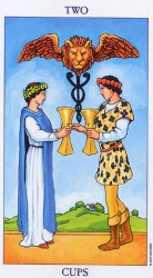 51-minor-cups-02