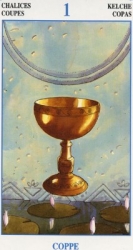 cups01