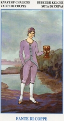 cups11