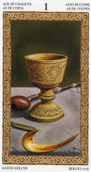 cups01