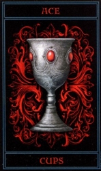 cups01