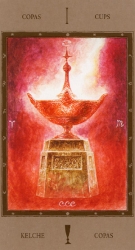 cups01