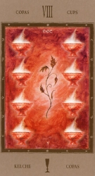 cups08
