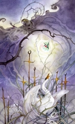 95