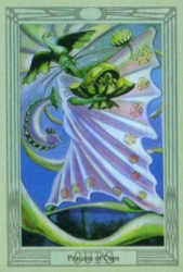 c11