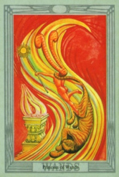 w11