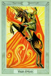 w14