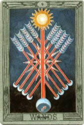 w9